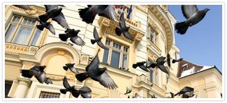 pensiuni turistice sibiu