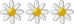margarete pensiuni